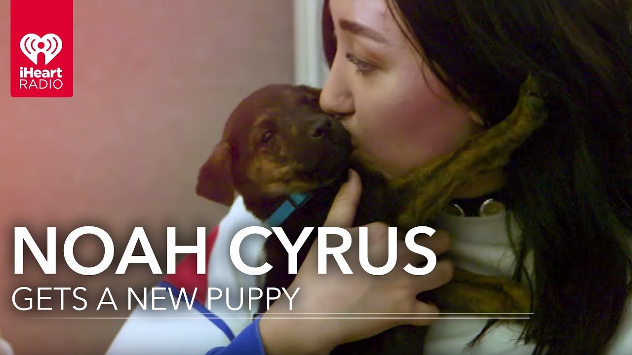 Noah Cyrus Meets Her New Puppy! iHeartRadio Music Festival YouTube