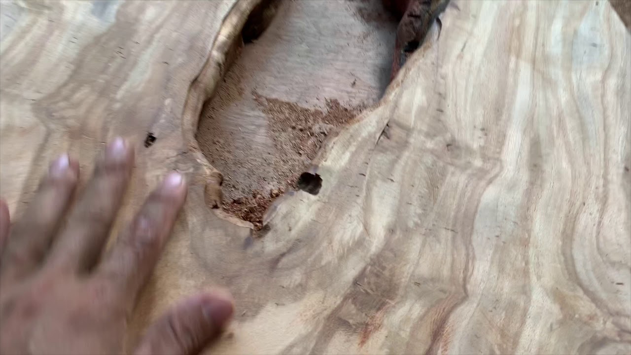 Let’s make a crazy center table camachile  tree