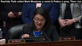Rashida Tlaib called Mark Meadows a racist & Lynne Patton a prop, Then she lies