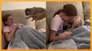 NEW PUPPY SURPRISE COMPILATION 2024 | WHOLESOME SURPRISE MOMENTS