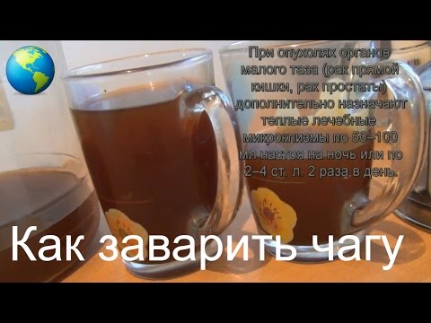 Как настаивать чагу в домашних условиях