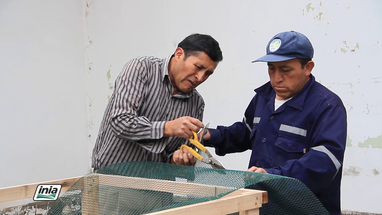 INSTALACIONES  E IMPLEMENTOS PARA LA CRIANZA DE  CUYES