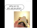 What1 What1