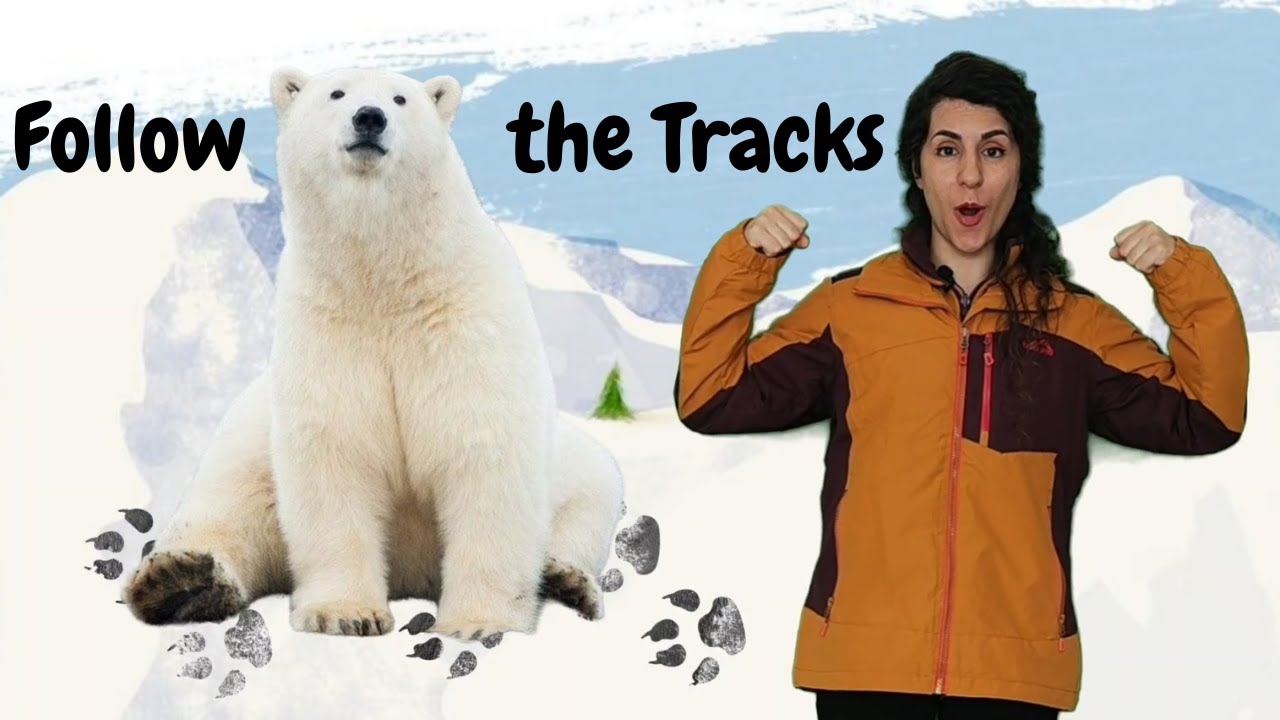 Follow the Tracks & Dance! Fun Snowy Songs for Kids | Polar Bear ...