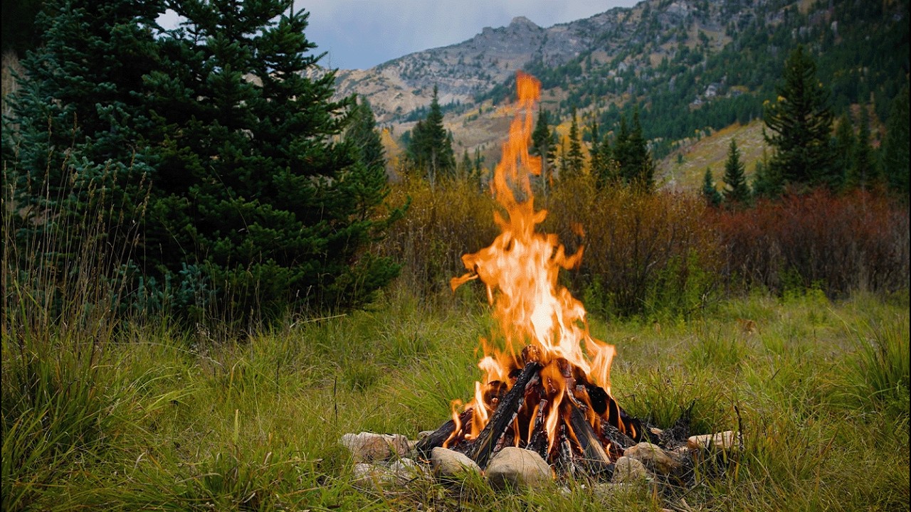 Live Campfire by Lake Hebgen, Montana – Relaxing Fire & Cricket Sounds — Island Park, MT live camera thumbnail