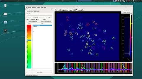 Mesmerize (OLD VERSION SEE DESCRIPTION) Tutorial Part 3 - CNMF Output, ROI Manager, Add To Project