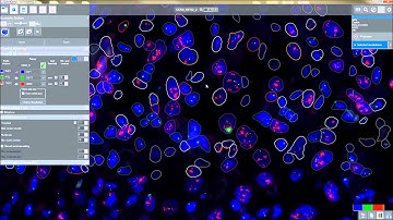 3DHISTECH - FISHQuant module