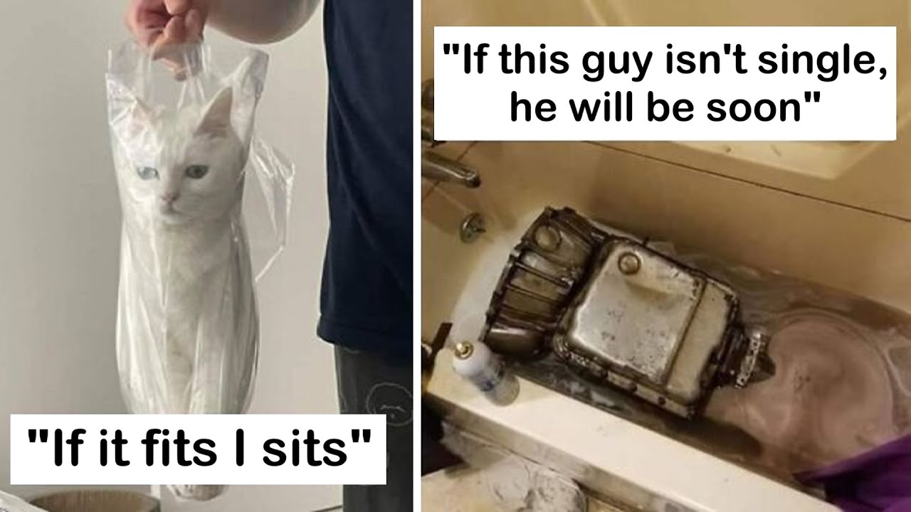 Wildly Funny Pics That Forgot How to Be Normal | HahaHub