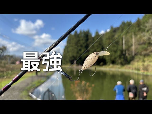 やっぱりモカだよな。【エリアトラウト】八海フィッシングスペース