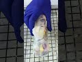 New video by Ryan's World on YouTube