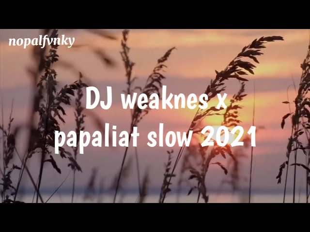 DJ WEAKNESS x PAPALIAT SLOW-2021-(nopalfvnky) class=