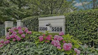 5500 Yonge Street 1610 Toronto, ON M2N 7L1