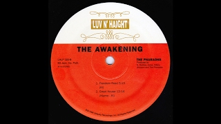 The Pharaohs - Freedom Road
