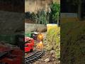 OMG‼️😱 FIREFIGHTERS STOP THE TRAIN WITH BURNING FENCE #train #experiment #shorts