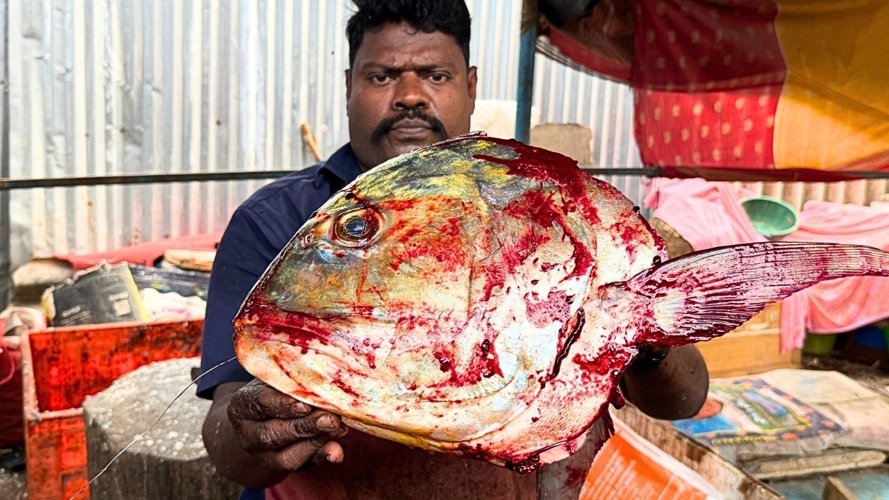 KASIMEDU SELVAM 30KG GIANT TREVALLY FISH CUTTING | UK SONS MARINE 🇮🇳