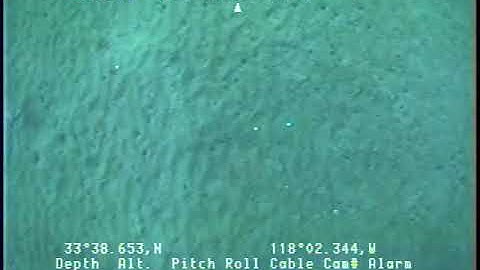 O-1-04-SC_Tape26-Vertical-2.mp4