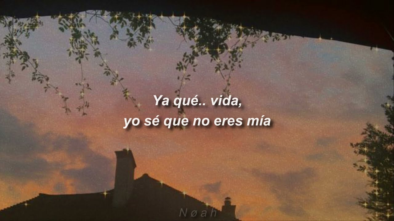 Enjambre - Vida En El Espejo [Letra]