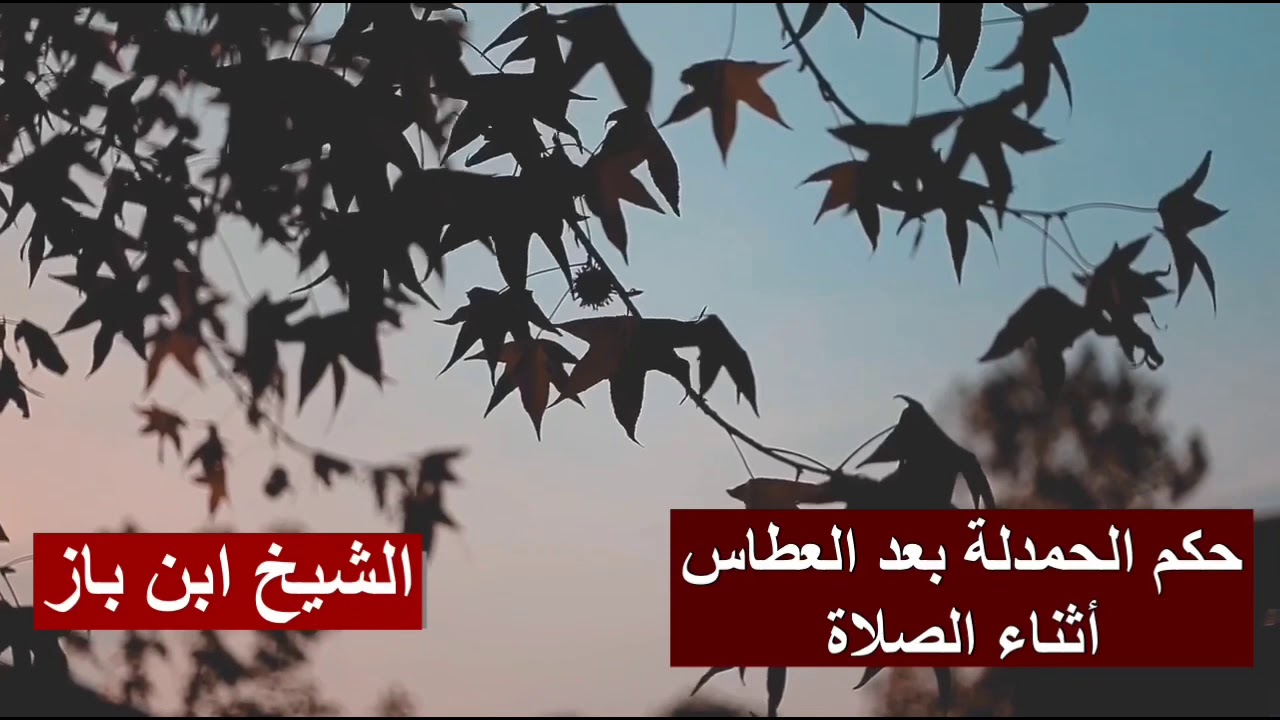 الشيخ ابن باز : حكم الحمدلة بعد العطاس أثناء الصلاة