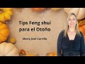 Tips Feng shui para el Otoño 🍂