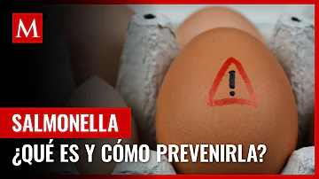 ¿Qué ocurre cuando se come Salmonella?