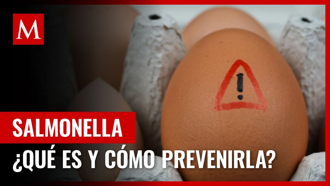 Salmonella ¿Qué es y por qué es importante prevenirla? YouTube