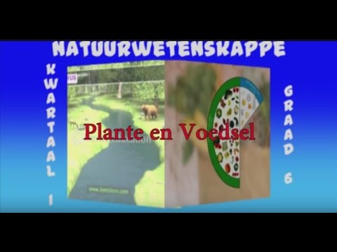 Video: Plante Vir Rumatiek. Deel 1