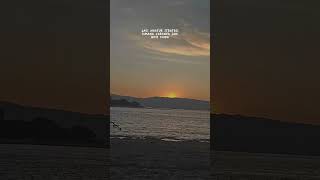 Download Lagu story wa bos muda MP3