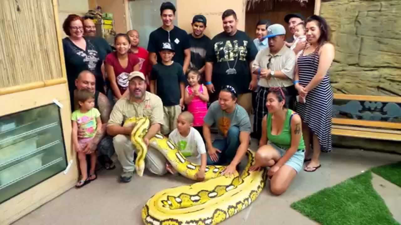 petco hours Did you miss the invite?