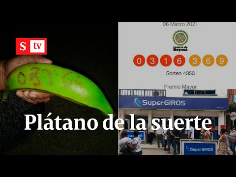 Mas de 2.000 personas lograron ganar un chance en Chocó gracias a un plátano | Videos Semana