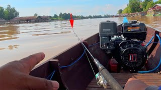 Download Lagu Detik detik ujung joran mengamuk ‼️ Mancing ikan patin liar di tengah sungai MP3