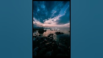 ياسر الدوسري🌿سورة الفجر الاية 24🌿يقول يا ليتني قدمت لحياتي