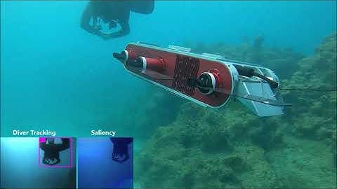 One-Shot Informed Visual Search in the Wild