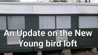 Update on New Young bird loft