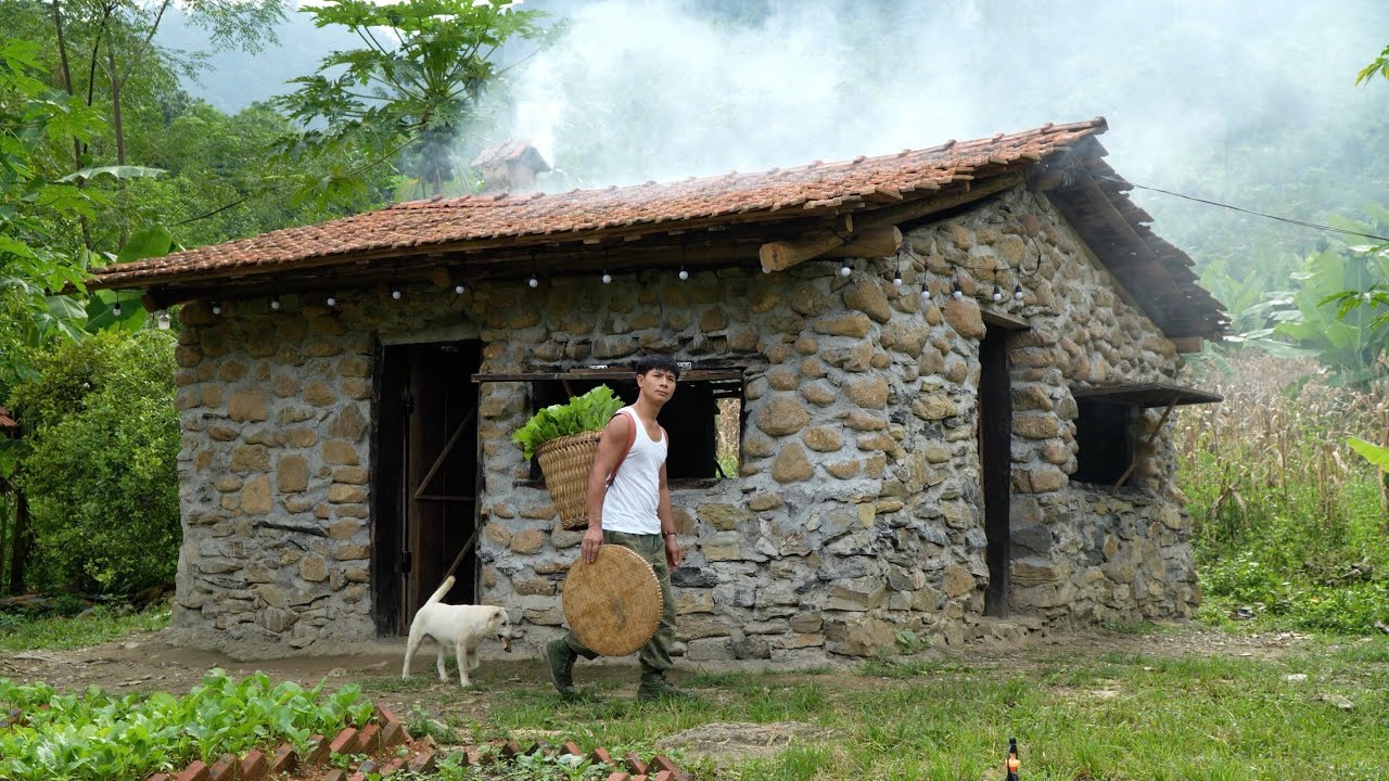 CEO leaves the pressure of city work, returns to the forest to raise animals, enjoys a free life