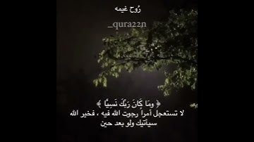 ﴿ وَمَا كَانَ رَبُّكَ نَسِيًّا ﴾ سورة مريم