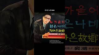 찾아온 고향3 1966 배호#트로트#국내발라드모음 #못잊을 #노래 #음악 #추억 #이노래가#미스트롯#미스터트롯#락발라드#트롯#trot#music#뮤직#뽕짝