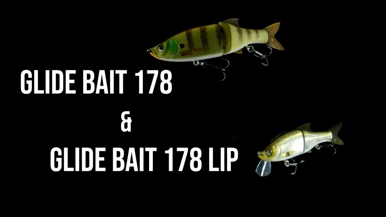 Glide Bait 178 & Glide Bait 178 LIP Comparison! 