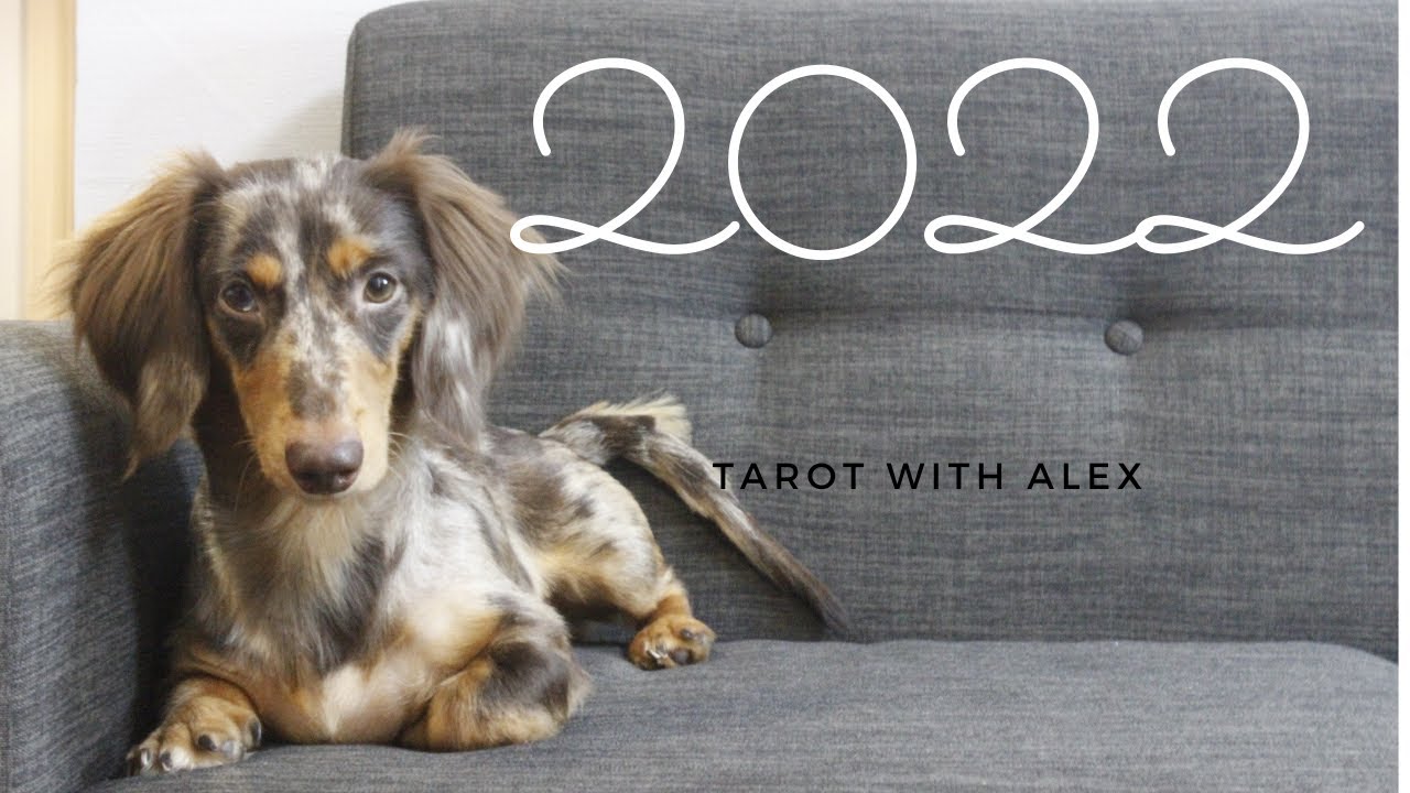 Thăm dò 2022 của bạn - công việc, tài chính, tình cảm | Tarot