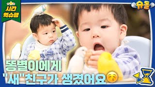 아기 똥별이에게 진짜 새 친구가 생겼어요❤ [슈돌 유튜브] KBS 231212 방송