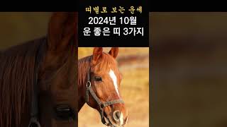 띠별운세! 2024년 10월 운 좋은 띠 3가지! 띠별운세로 10월에 운좋은 띠를 확인해보세요!