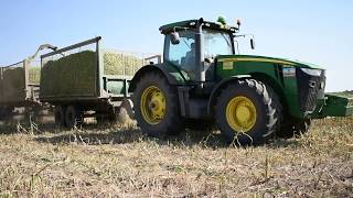 АО ПЗ Мелиоратор погрузка John Deere кукурузой на силос