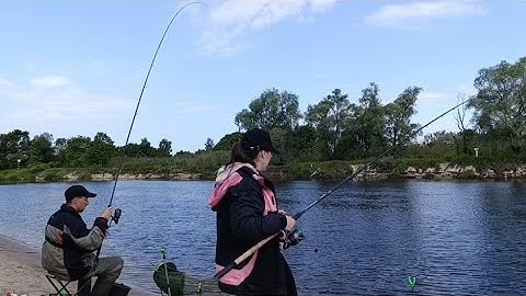 ПЕРВАЯ РЫБАЛКА С ЖЕНОЙ НА РЕКЕ ПРИПЯТЬ // ЖЕНА ЛОВИТ СВОИ ПЕРВЫЕ ТРОФЕИ...