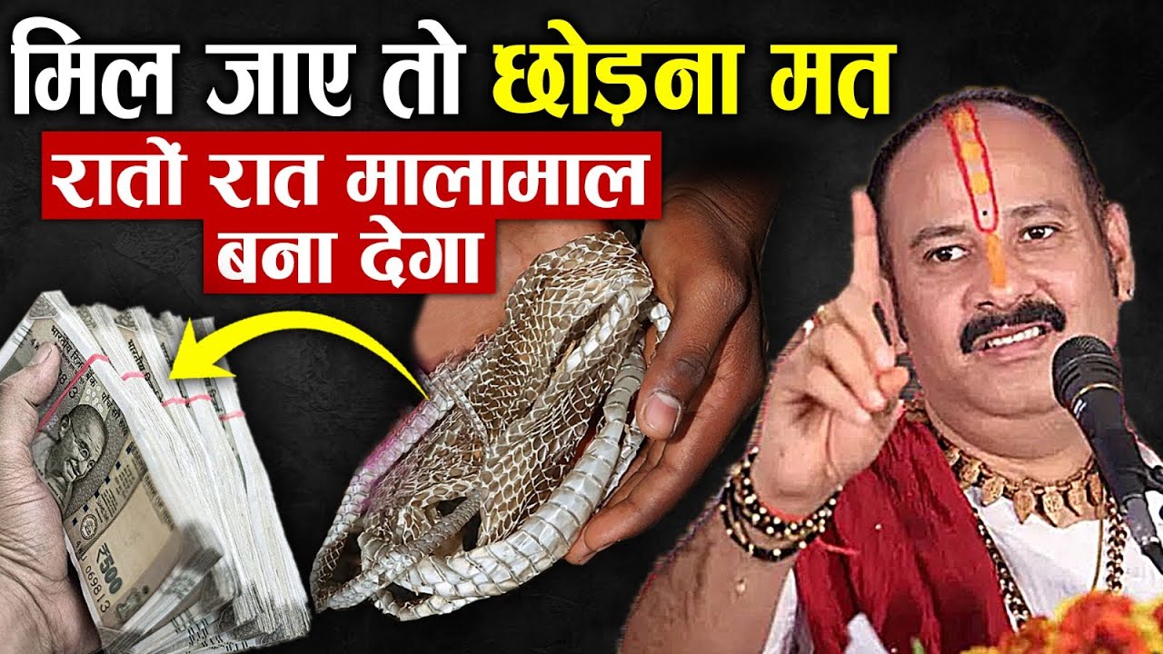 रातों रात करोड़पति बना देगी सांप की केचुली कहीं मिल जाए तो छोड़ना मत, पैसा खुद चलकर आएगा |