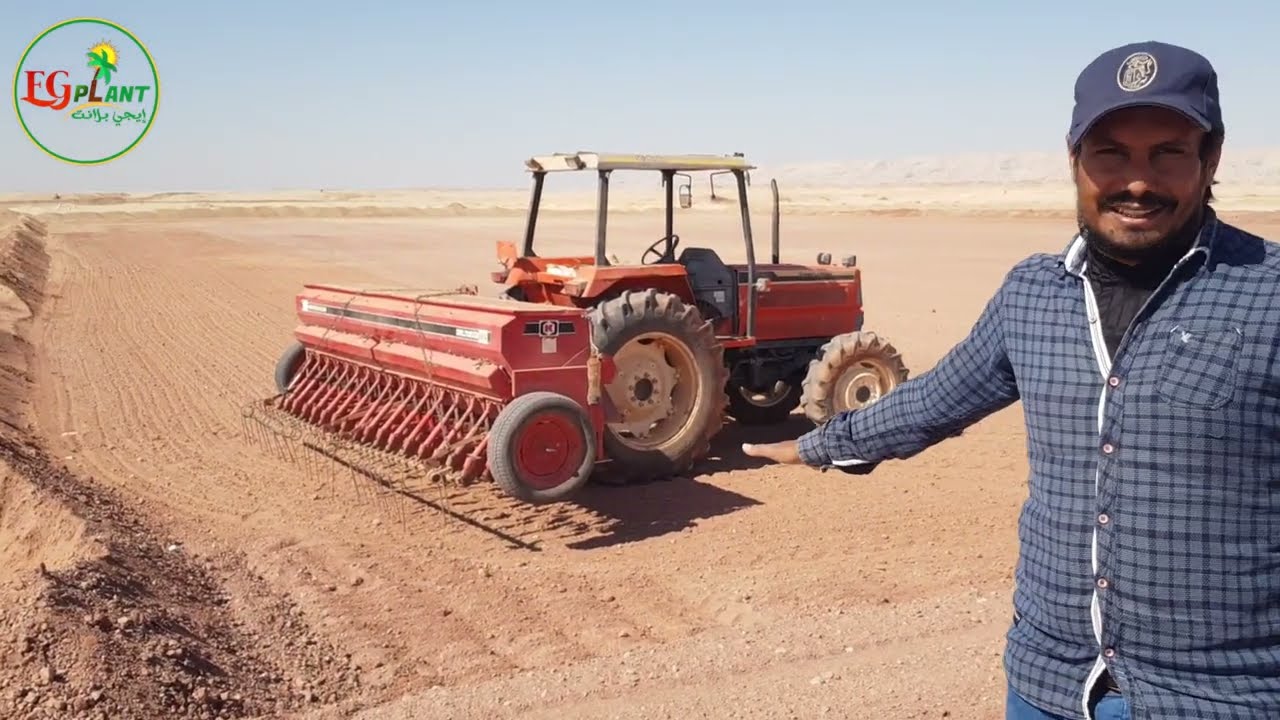 انتاج الفدان 1200 كيلو من دريس البرسيم الحجازى فى ارض صحراوية تم زراعتها لاول مرة فى الداخلة