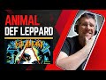 UNLEASHED ROCK ENERGY! | DEF LEPPARD - ANIMAL (Reaction Video) | ANOTHER LISTEN