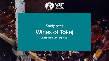 Study bites: wines of Tokaj (WSET Level 3 wine)