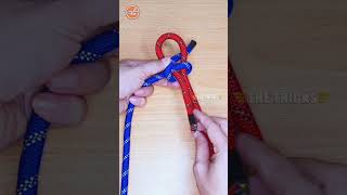 How to tie knots rope diy at home #diy #viral #shorts ep1285