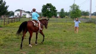 Picture 224.avi