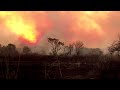 Waldbrände wüten in mehreren Ländern Südamerikas