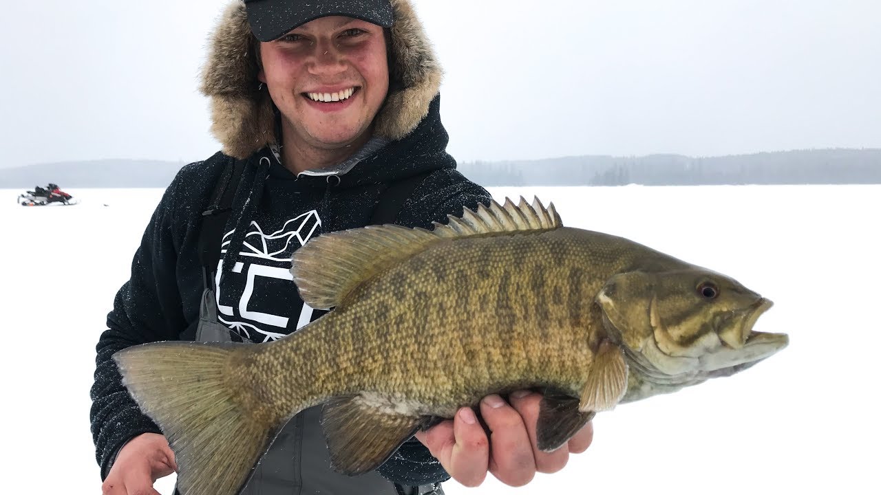 Ice Fishing for Smallmouth Bass! Ft. APBASSIN (hitting the ditch) YouTube